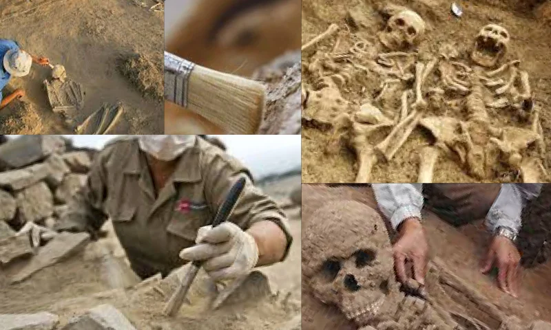 Nasıl Arkeolog Olunur?