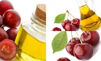 Cherry Oil (Kiraz Yağı) Nedir?