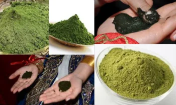 Kına Nedir? Faydaları Nedir Yan Etkileri Nelerdir