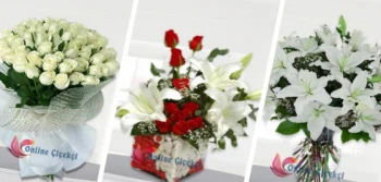 Vip Çiçek Koleksiyonu İle En Şık Çiçeği Kolayca Seçebilirsiniz