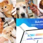 What is a Veterinary Drug Tracking Program?