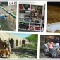 Yavru Köpek Mamaları Nasıl Olmalıdır?