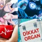 Organ Nakli Nedir?